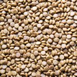 chaudière pellets avis